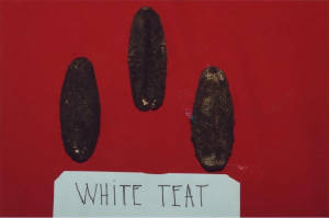 whiteteat_susuan.jpg